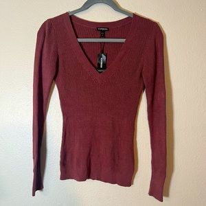 Express V-Neck Sweater